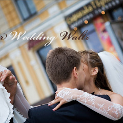 Rose Petals  (extract)