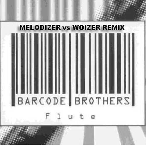 Stream Barcode Brothers - The Flute [Melodizer vs Woizer Remix] by  melodizer | Listen online for free on SoundCloud