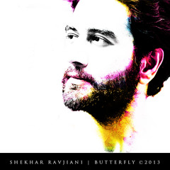 Butterfly - Shekhar Ravjiani (feat. Chinmayi)