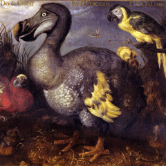 \ n \- Destroyed by Birds