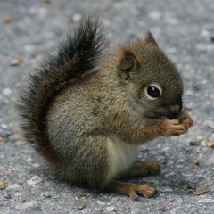 14 mix rotation 07 - 08