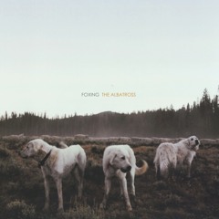 Bloodhound By Foxing Cover