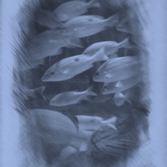 Id En Mwoakilloa