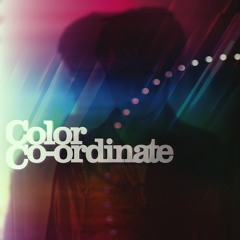 Color Co-ordinate [2013edit]