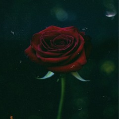 Red Roses For A Blue Lady (Snippet)