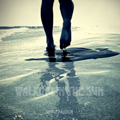 Walking In The Sun - Mixtape