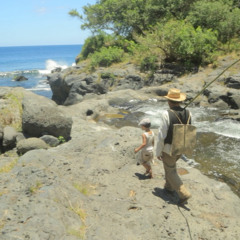 Extrait : Saodaj - Générique de "Vocation"