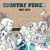 Artwork for Country Funk Interview