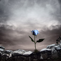 Upon this field of tears I stood