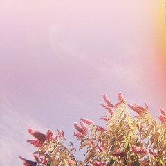 Bob is Alive (MADDIE E.P.)