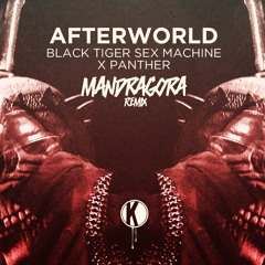 Black Tiger Sex Machine - Afterworld (Mandragora Remix) OUT NOW!