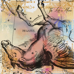 Pegasus - The Letters Home