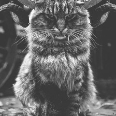 Last Day     /    VENDIDA