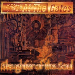 At The Gates - Slaughter Of The Soul [Instrumetal Cover]