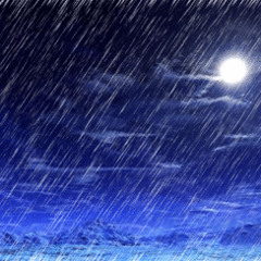 Nik Fom - Trippin III