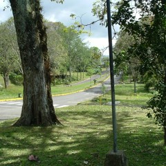 Paisaje Sonoro: Instalaciones Deportivas