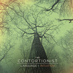 The Contortionist "Language I: Intuition"