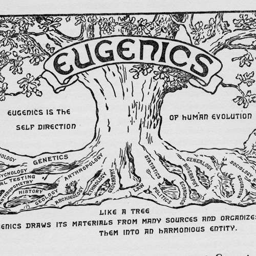 Zorgholic ...Bitch-Eugenics 2014