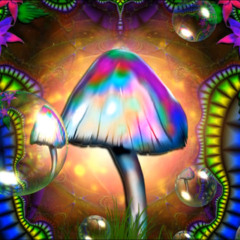 i like