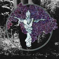 Homewrecker (Converge Cover)