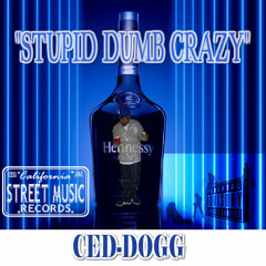 "STUPID DUMB CRAZY" - CED-DOGG