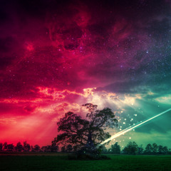 Bob Marley - No Woman No Cry (Lost Frequencies Bootleg)