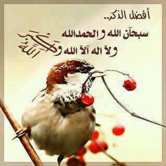 الشيخ نبيل العوضي علاج العاده السريه