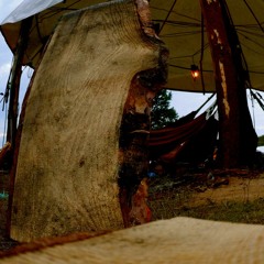 Sonic Swing - haunted hammocks - freqs of nature festival 2014