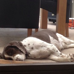 Ye Olde "I Challenge You To A Duel" Music