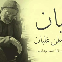 بيان مواطن غلبان .. محمد عبد الغفار