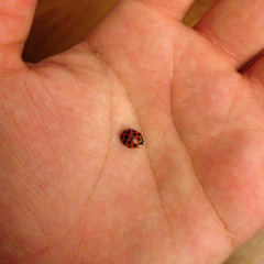 Bring Us Back - recorded 2 years later