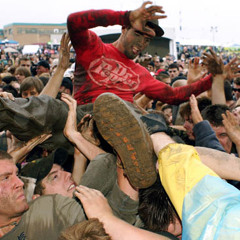 The Beginning of Something Beautiful...