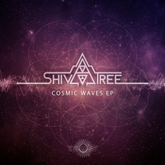 ShivaTree- Hold & Smoke  ( Out now on Bmss Rec)