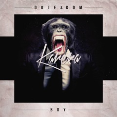 Dole & Kom - Who Knows (90sechzig90 & Andlee Remix) | SNIP