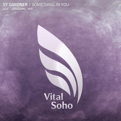 Sy Gardner - Something in you (OUT NOW ON BEATPORT!)