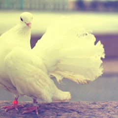 Magestick Records - All Against War (Sad Emotional Crying Rap Beat Hip Hop Instrumental 2014)