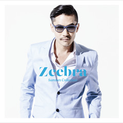 Zeebra - Endless Summer feat. Coma-Chi (SONPUB Remix) 2014