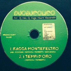 RAGGA MONTEFELTRO - Dj Meo Dj Ghigo - RMX ufficiale