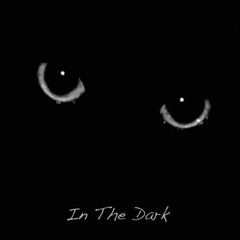 In The Dark - Melodic Summer Techno played at 118bpm