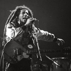 Bob Marley and the Wailers "Zimbabwe" Zurich 1980