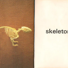 Music & Colour Mastered