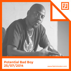 Potential Bad Boy - FABRICLIVE x Playaz Mix
