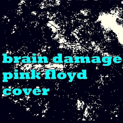 Stream Pink Floyd Cover Brain Damage by noise figure Listen online for free on SoundCloud