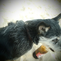 Staycool