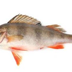 Jazzguttene til Viktor