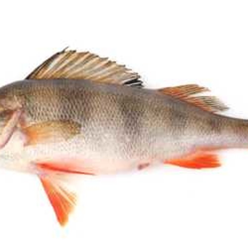 Jazzguttene til Viktor