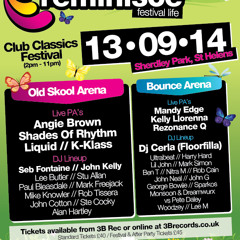 Lee Butler - Reminisce OLD SKOOL Promo Mash Up Mix 2014