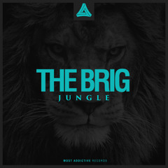 The Brig - Jungle