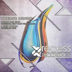 Twelve Minds - Hear Me Cry (Matt Fear Remix)