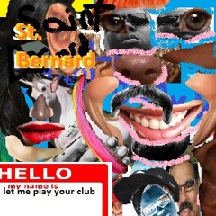 St Bernard - Let Me Play Your Club
